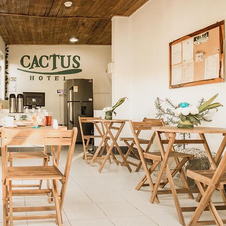 Hotel Cactus Taganga Eksteriør bilde