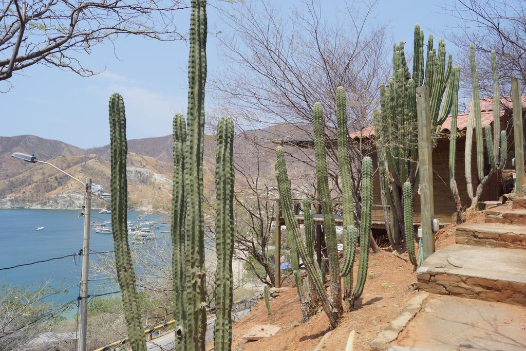 Hotel Cactus Taganga Eksteriør bilde