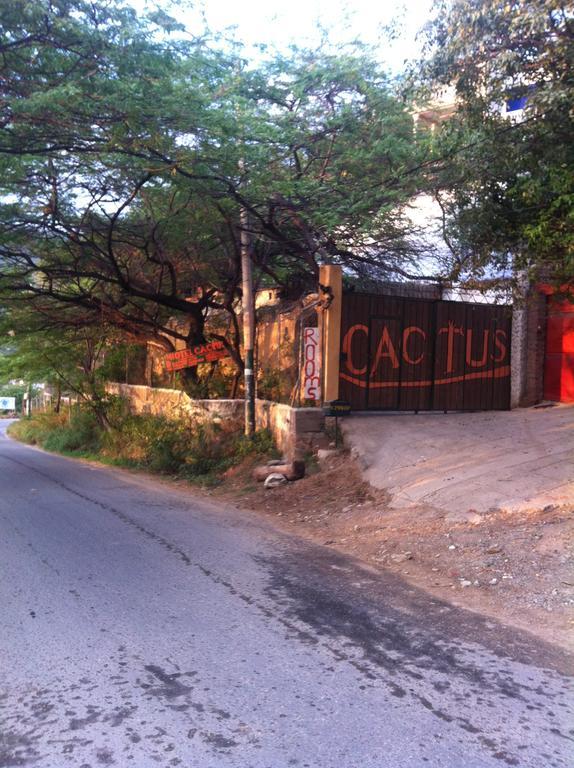 Hotel Cactus Taganga Rom bilde